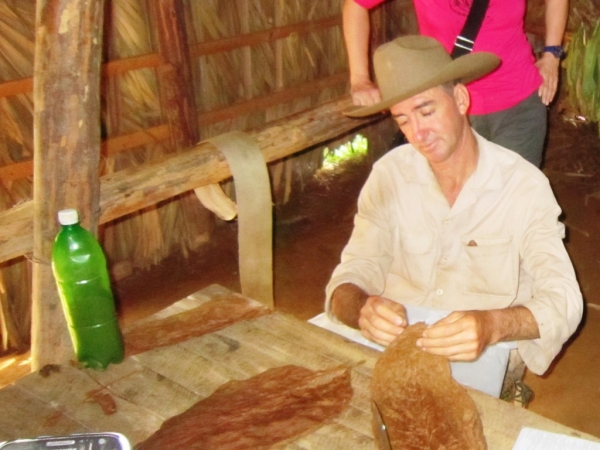 Zdjęcie z Kuby - Vinales