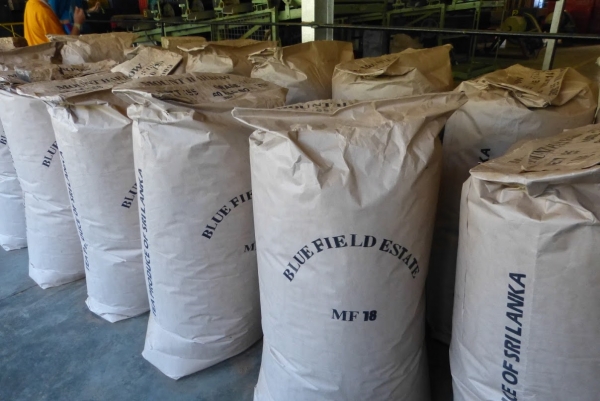 Zdjęcie ze Sri Lanki - wory do Europy....