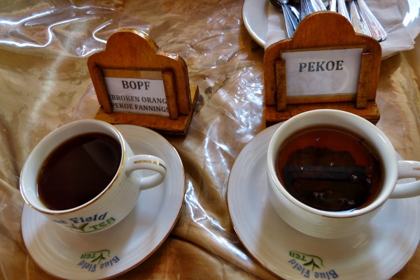 Zdjęcie ze Sri Lanki - 