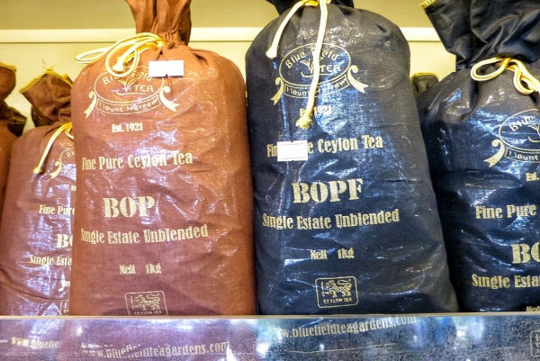 Zdjęcie ze Sri Lanki - czas przejść do zakupów