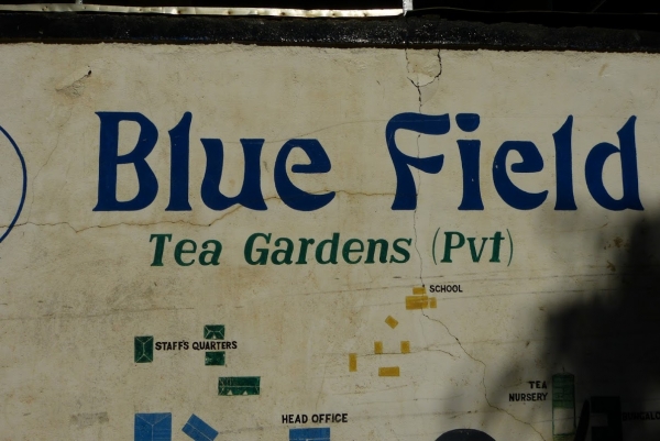Zdjęcie ze Sri Lanki - żegnamy Blue Field
