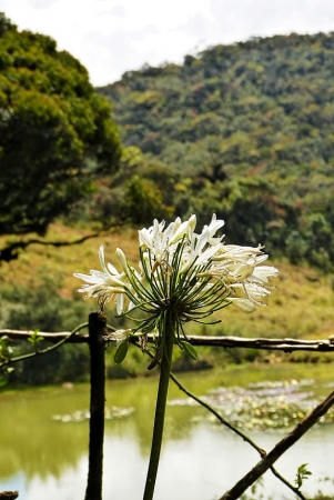 Zdjęcie ze Sri Lanki - Przed nami Park narodowy Równiny Hortona