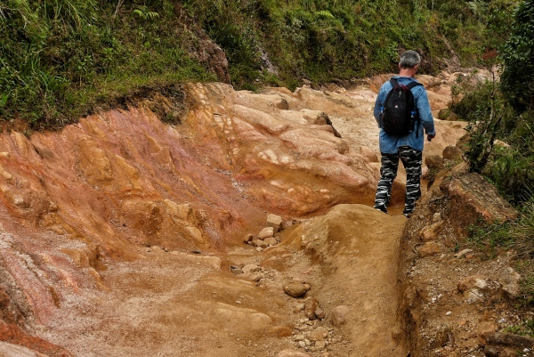 Zdjęcie ze Sri Lanki - trekking po Hortonie przez pewien odcinek odbywa się w takich plenerach....