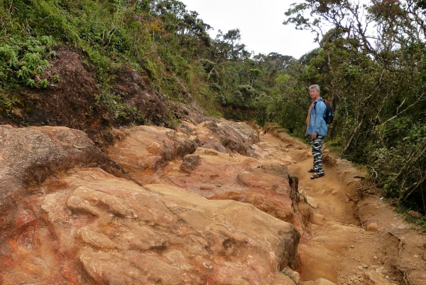 Zdjęcie ze Sri Lanki - - no idziesz czy zdjęcia robisz?