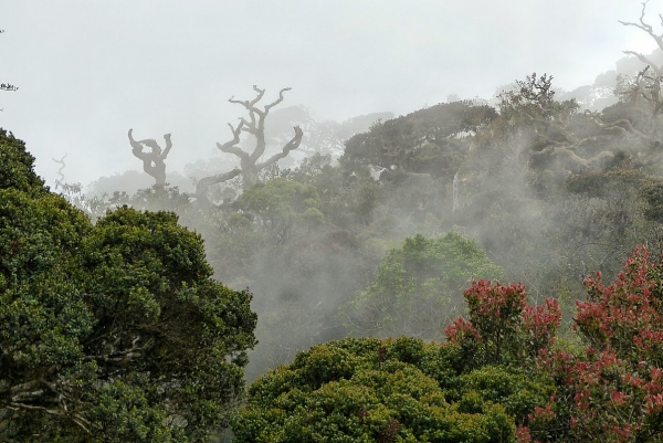 Zdjęcie ze Sri Lanki - ale za chwilę było już tak...., ech, góry....