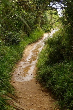 Zdjęcie ze Sri Lanki - na szlaku....