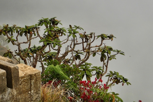 Zdjęcie ze Sri Lanki - na Końcu Świata...