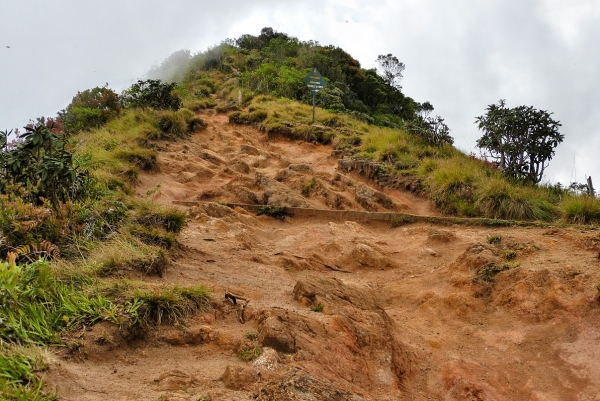 Zdjęcie ze Sri Lanki - na Hortonie...