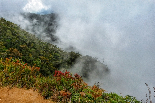 Zdjęcie ze Sri Lanki - na Dużym Końcu Świata - świat się skończył :) - nic nie widać:)