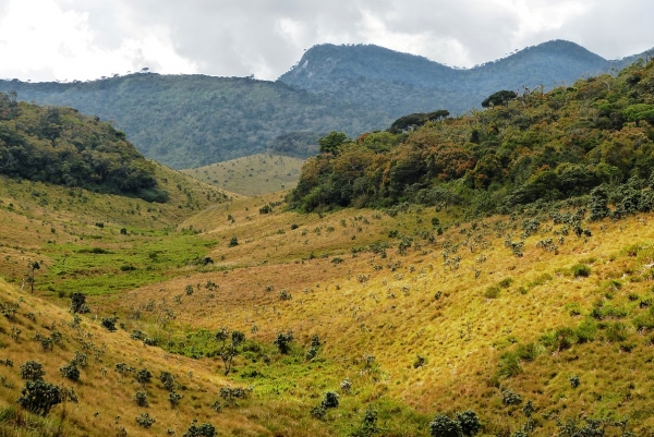 Zdjęcie ze Sri Lanki - niby Cejlon - a jak w Bieszczadach....