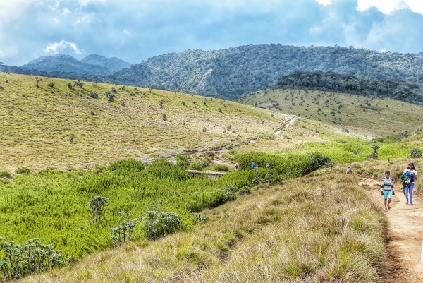 Zdjęcie ze Sri Lanki - ten odcinek Hortona nazwałam "lankijskie połoniny" :)
