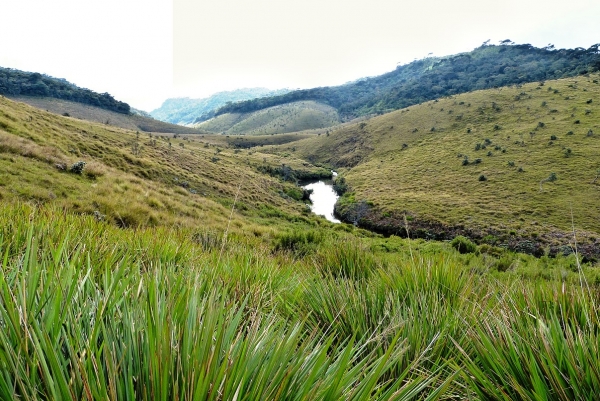 Zdjęcie ze Sri Lanki - piękne widoczki na lankijskie "Bieszczady"....