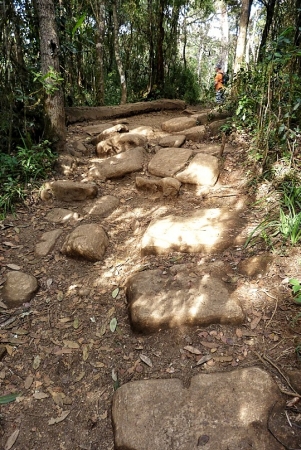 Zdjęcie ze Sri Lanki - i pod górę po wertepach i kamlunach...