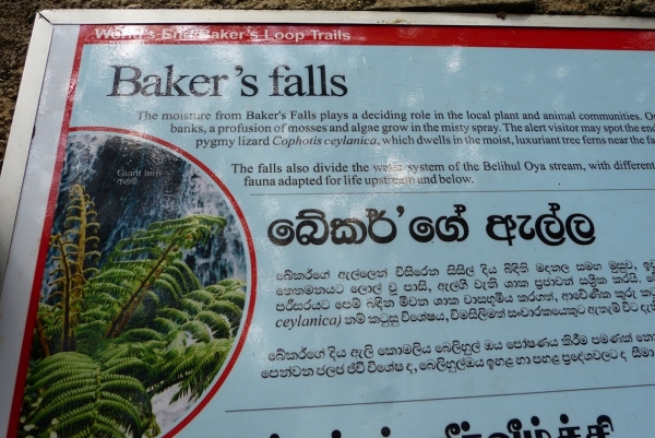 Zdjęcie ze Sri Lanki - prawie już koniec trasy; 