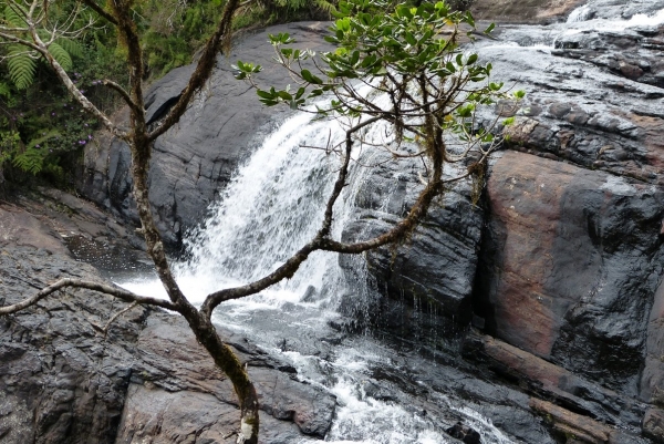 Zdjęcie ze Sri Lanki - wodospad Bakera 