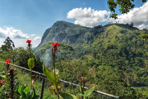 Zdjęcie ze Sri Lanki - Ella Gap