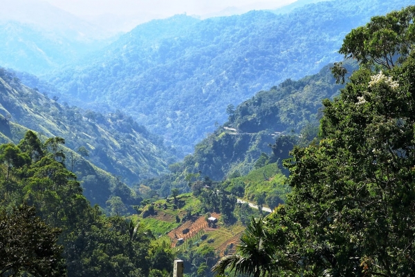Zdjęcie ze Sri Lanki - Ella Gap