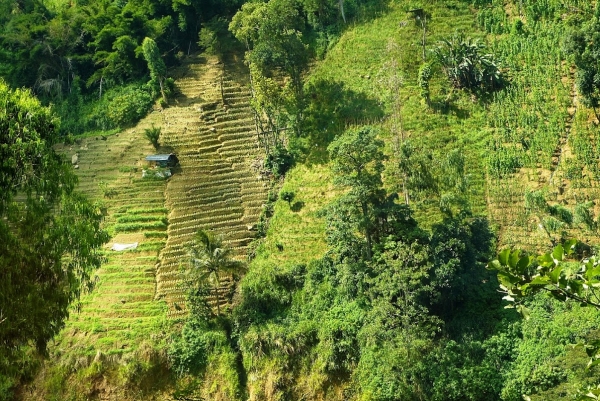 Zdjęcie ze Sri Lanki - Ella Gap