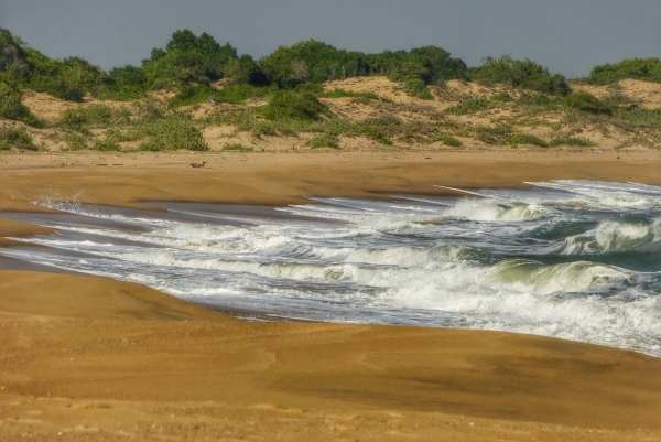 Zdjęcie ze Sri Lanki - plaża Patanangala 