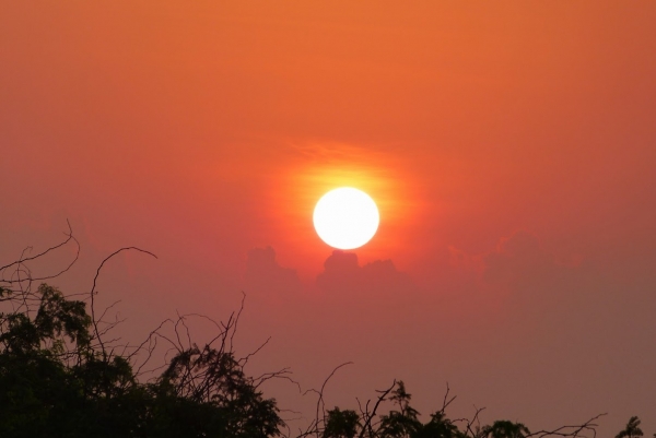 Zdjęcie ze Sri Lanki - zachodzik 