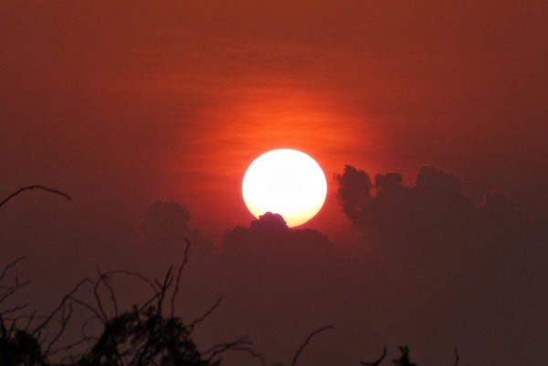 Zdjęcie ze Sri Lanki - i kolejny, pełen emocji dzień się skończył....