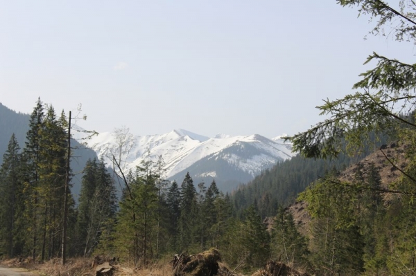 Zdjęcie z Polski - Pierwsze piękne widoki na Tatry