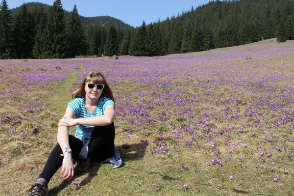 Zdjecie - Polska - Tatry- Polana Chochołowska