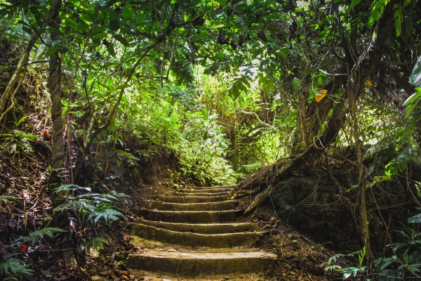 Zdjęcie z Vanuatu - W drodze do wodospadu Mele Cascades