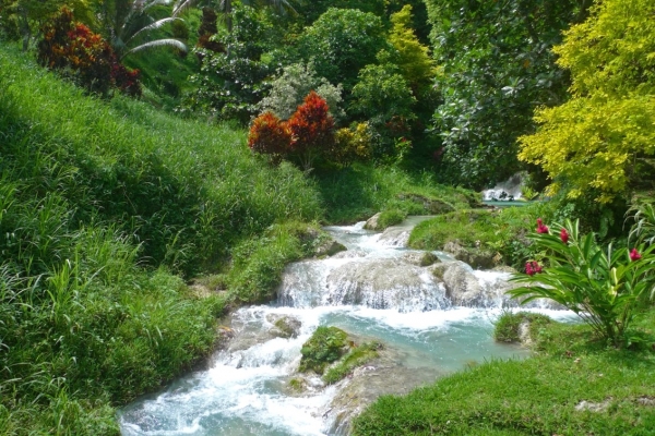 Zdjęcie z Vanuatu - W drodze do wodospadu Mele Cascades