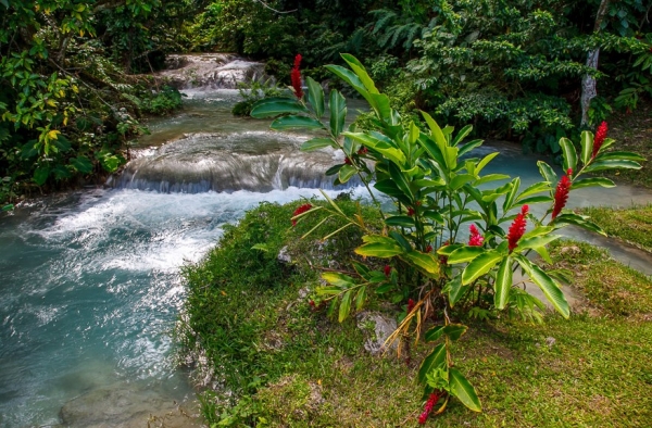 Zdjęcie z Vanuatu - W drodze do wodospadu Mele Cascades