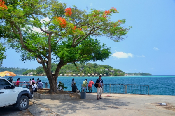 Zdjęcie z Vanuatu - Niby stolica, a w sumie niewielkie miasteczko