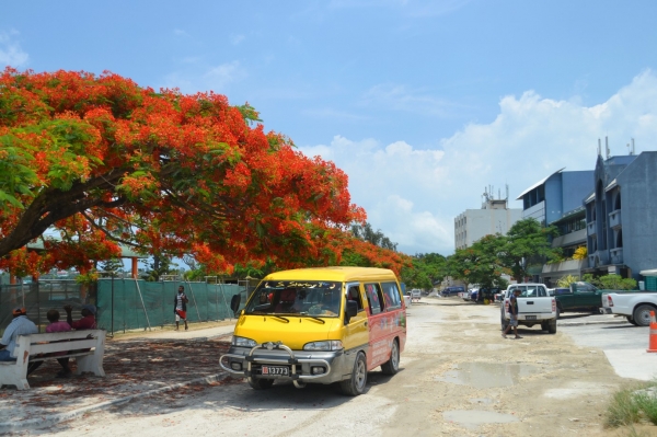 Zdjęcie z Vanuatu - Ulica Port Vila. jak widac bez asfaltu :)