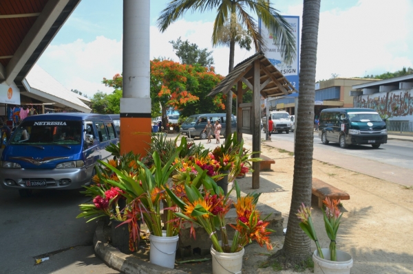 Zdjęcie z Vanuatu - Glowna ulica Port Vila