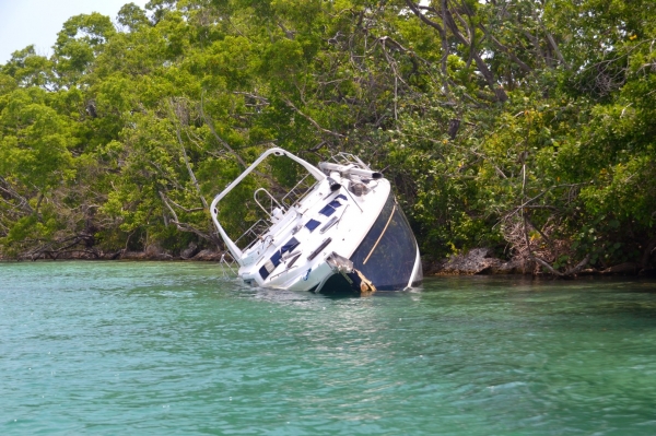 Zdjęcie z Vanuatu - Jeszcze jedna ofiara cyklonu z marca 2015 roku