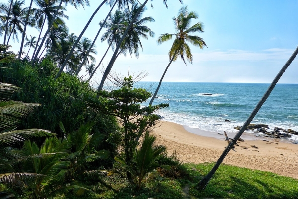 Zdjęcie ze Sri Lanki - Tangalla