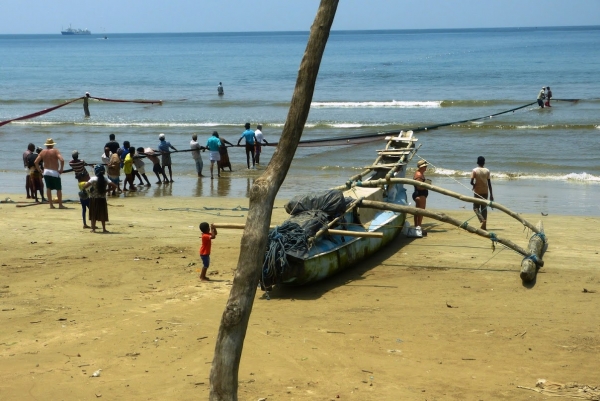 Zdjęcie ze Sri Lanki - praca na plaży