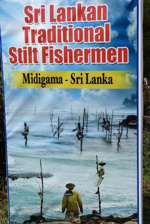 Zdjęcie ze Sri Lanki - taa.... tradycja..... - komercha jak mało co na tej wyspie! 