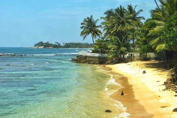 Zdjęcie ze Sri Lanki - Merissa