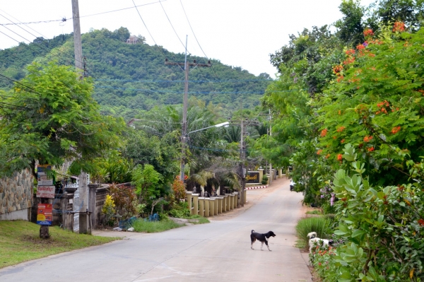 Zdjęcie z Tajlandii - Dalekie przedmiescia Chiang Rai