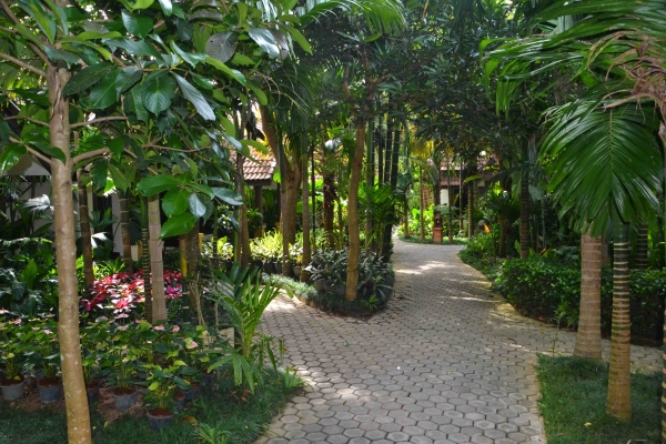 Zdjęcie z Tajlandii - Alejki hotelu Laluna w Chiang Rai