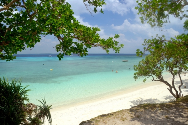 Zdjęcie z Nowej Kaledonii - Plaza na Lifou