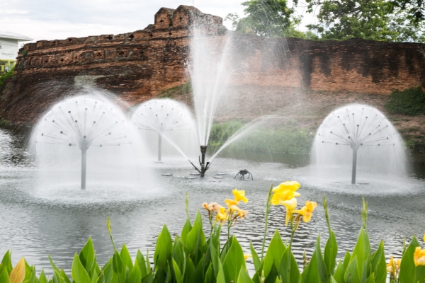 Zdjęcie z Tajlandii - Chiang Mai 