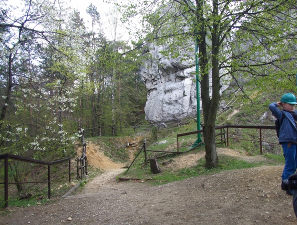 Zdjęcie z Polski - Zborów