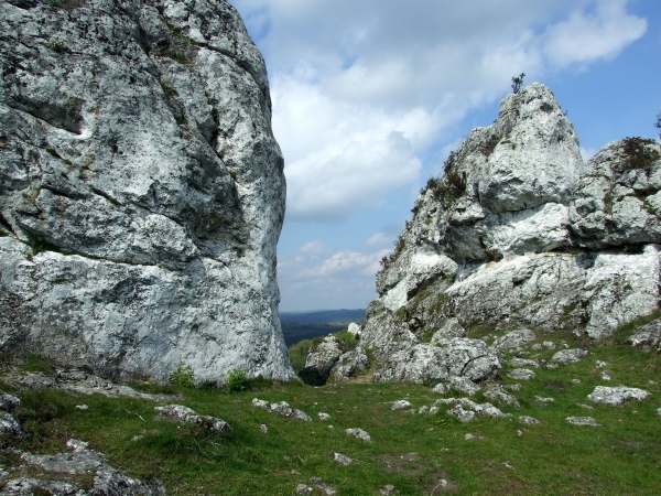 Zdjęcie z Polski - Zborów