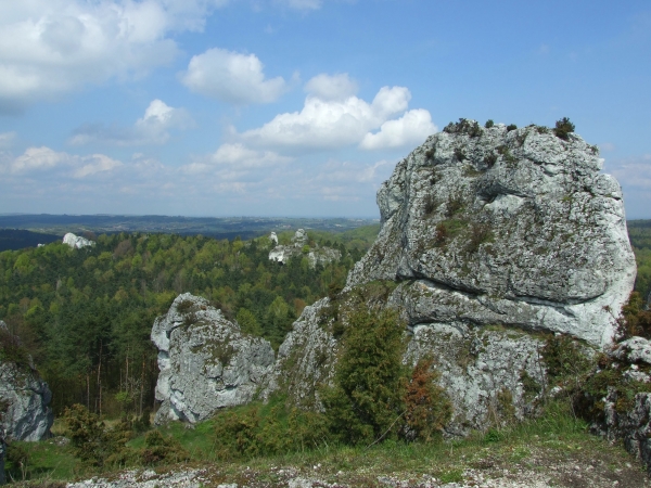 Zdjęcie z Polski - spojrzenie na Jurę