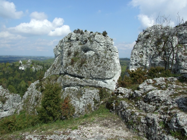 Zdjęcie z Polski - 