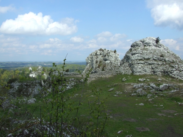 Zdjęcie z Polski - 