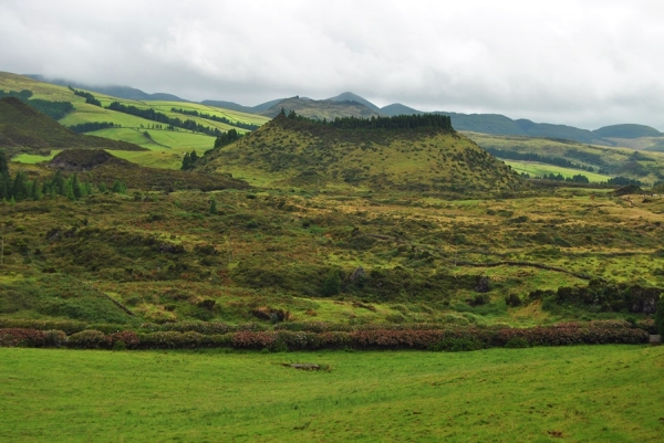 Zdjecie - Portugalia - Azory-Terceira