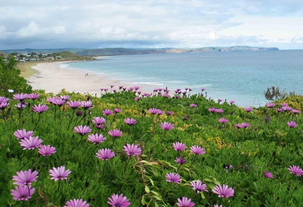 Zdjęcie z Australii - Willunga Beach w zimowej szacie