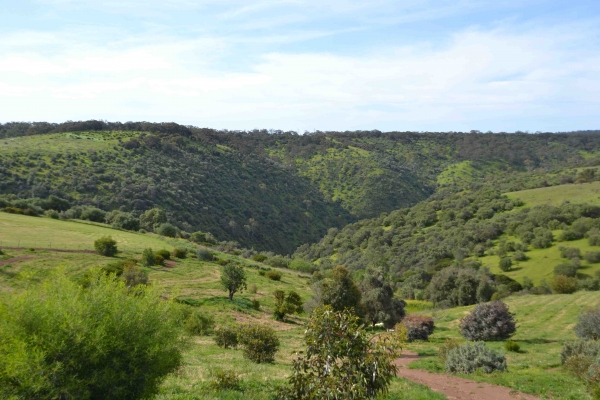 Zdjęcie z Australii - Onkaparinga River National Park